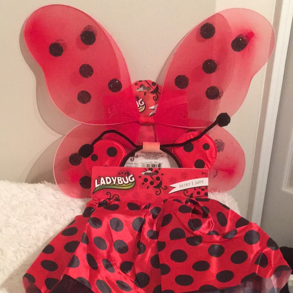 Child Lady Bug Costume